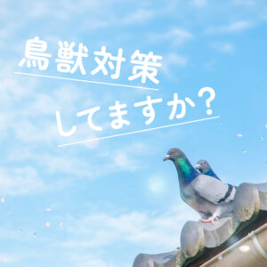 え、我が家が鳥たちの「楽園」に！？知られざる鳥獣対策